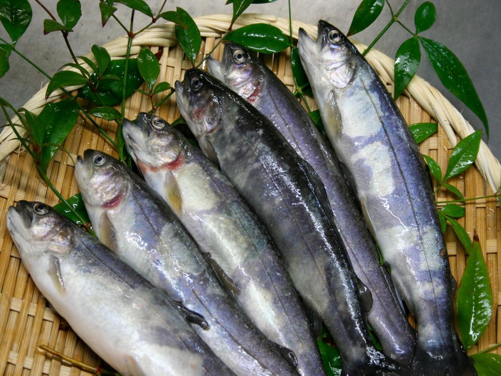 栄の湯旅館 松本市 エクステリア 写真